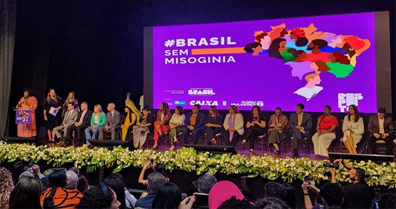 Brasilsemmisoginia2610